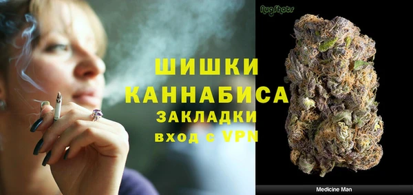 гидра Горнозаводск