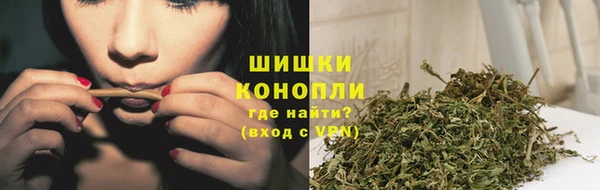 гидра Горнозаводск