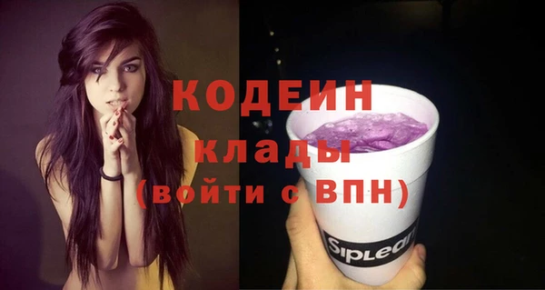 гидра Горнозаводск