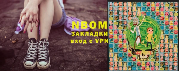 гидра Горнозаводск