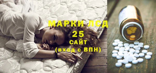 гидра Горнозаводск