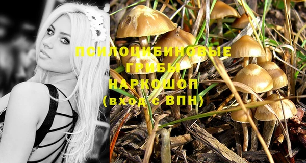 дурь Горно-Алтайск