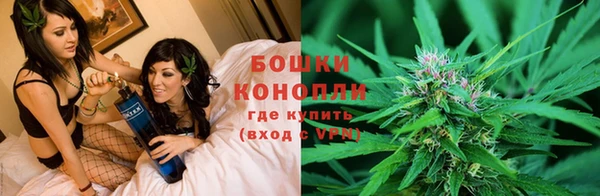 гидра Горнозаводск