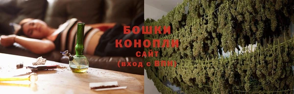 дурь Горно-Алтайск