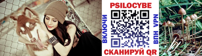 Псилоцибиновые грибы Cubensis  МЕГА как зайти  Улан-Удэ 